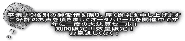 fiʂ̌䈤A\グ܂ D]̂𒸂܂ăI[^Z[JÒł NɈx̑匈ZZ[I ԌIʌI ȂI